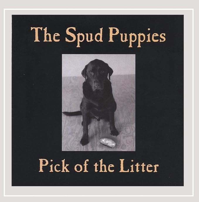 Pick of the Litter Amazon.co.uk CDs & Vinyl