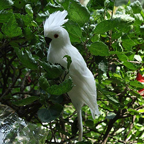 Oral Dentistry Realistic Parrot with Artificial Bird Feathered Decoration Ornament Birds Imitation Animal Model Outdoor Garden Lawn Tree Decor (White) - Thumbnail 2