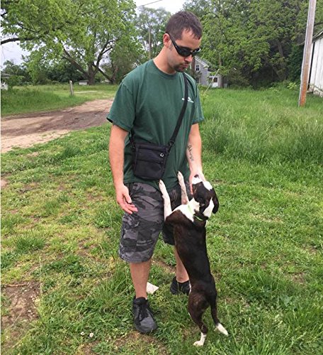 image for DELOMO Dog Treat Pouch for Training - Easily Stores Pet Toys, Kibble, 