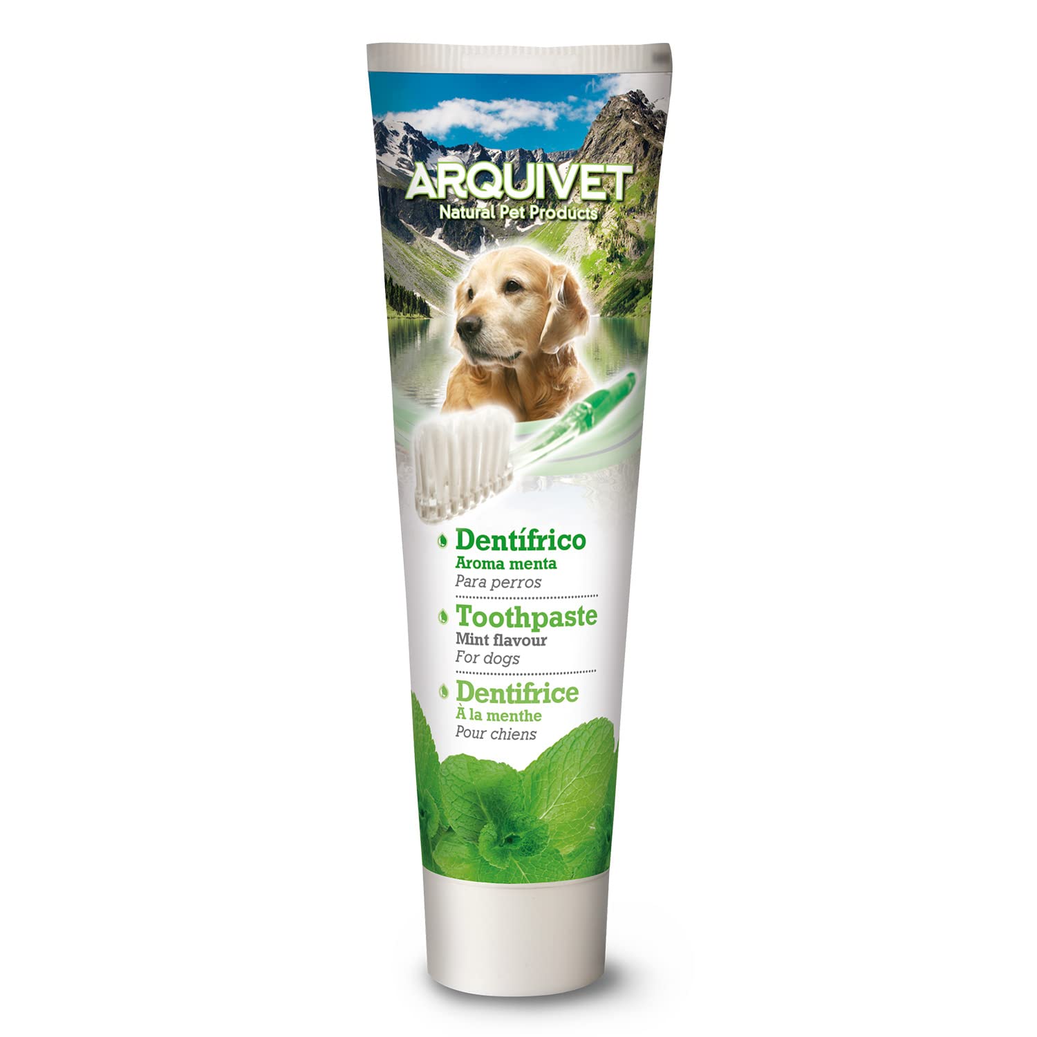 Arquivet Mint Toothpaste for Dogs 100Gr