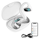 Language Translator Earbuds Two Way Real-time
