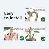 Mcbazel Moss Pole 120CM Bendable Coir Plant Support with Tape & Ties view 7