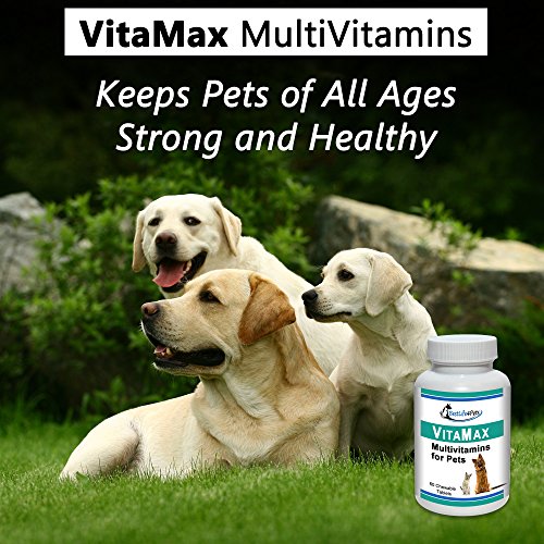 VitaMax Multivitamins for Dogs and Cats; Advanced Nutrition Pet Vitamin Supplement Improves Health of Coat and Skin, Increases Energy, Boosts Your Pet's Immunity and Aids Digestion - 60 Chews - Thumbnail 5