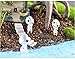 SUN-E 4 Pcs/lot Princess Mononoke Luminous Tree Elves Spirit Kodama Gardening Potted Decoration Micro Landscape Accessories