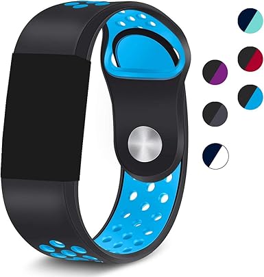 garmin vivoactive hr accessories