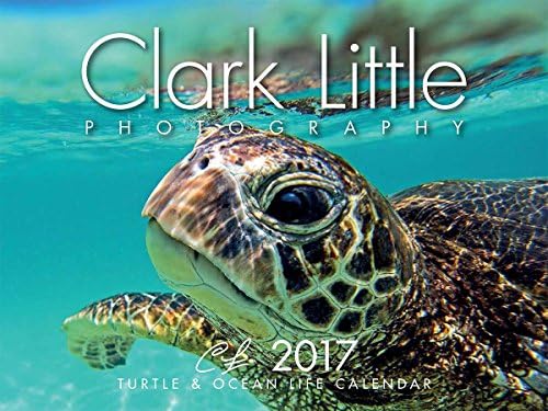 Clark Little 2017 Hawaiian Turtle &amp; Ocean Calendar