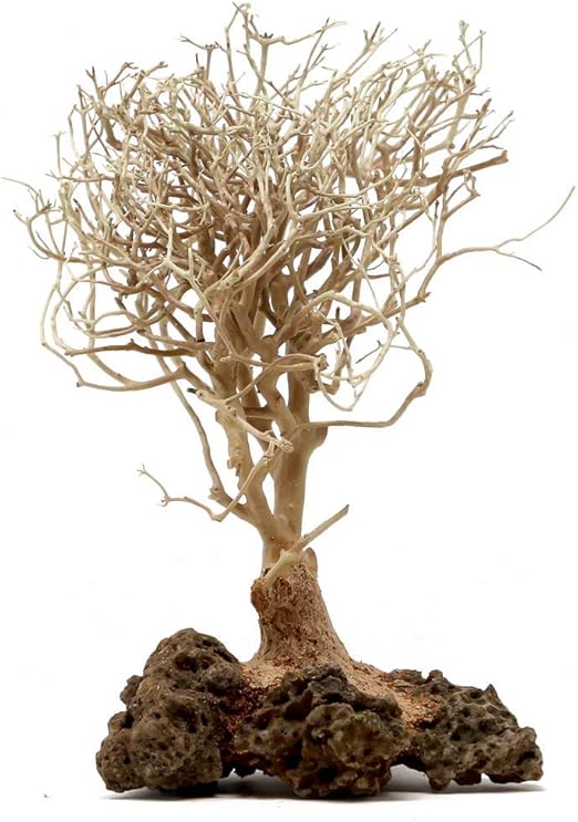 bonsai aquarium decoration