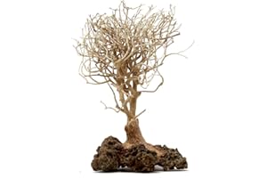 Bonsai Driftwood Aquarium Tree (5 Inch Height) Natural, Handcrafted Fish Tank Decoration | Easy to Install | BSS