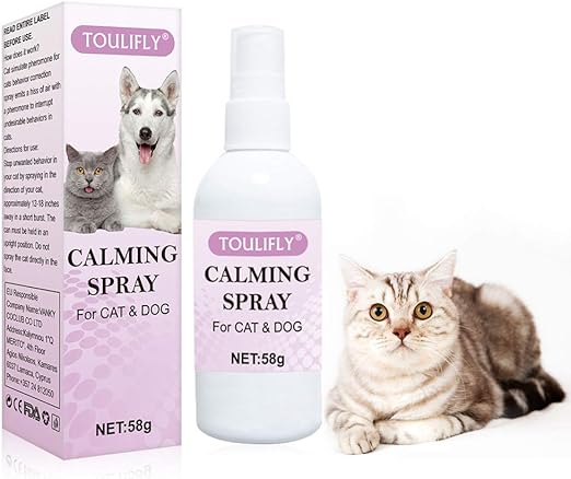 calming care for cat anxiety and stress