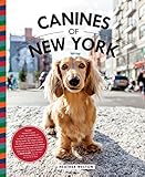 Canines of New York Canines of New York