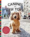 Canines of New York