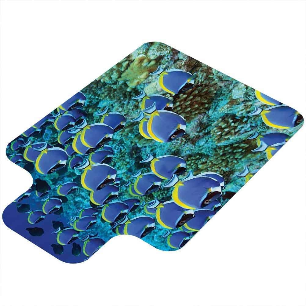 10 Mejores Sillas De Ruedas Tangos : Noviembre 2020