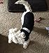 BINGPET Dog Shirts -Soft Cotton- Puppy T-Shirts for Dogs Light Weight Tank Top Vest for Summer Security