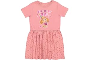 Paw Patrol Skye Girl Dress - Toddler Spring Summer Outfit - 1st 2nd 3rd 4th Birthday Dresses for Girls