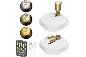 LEASTYLE LED Wireless Spotlights with Remote Rechargeable Up Lights Indoor with 3000K/4000K/6000K Battery Operated Lights with Timer Dimmable Accent Light Uplighting for Plant,White+Gold,2 Pack