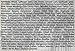 Sunseed 49040 Vita Prima Sunscription Conure Food - High-Variety Formula, 3 LBS