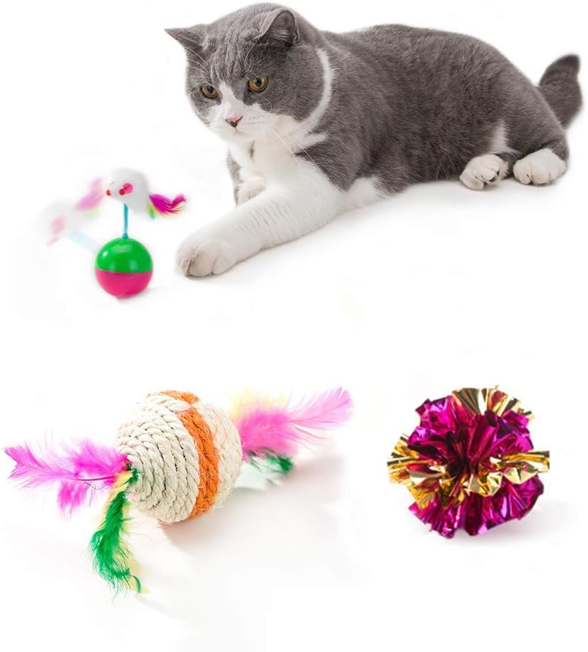 HIPIPET 21PCS Cat Toys Interactive Kitten Toys Assortments Tunnel Balls Fish Feather Teaser Wand Mice : Pet Supplies