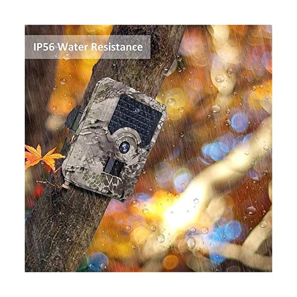 EXCLVEA Wildkamera 12MP 1080p Wildlife-Kamera Mit PIR-Sensor 65ft Infrarot-Nachtsicht-IP56 Wasserdicht für die… – Bild 5