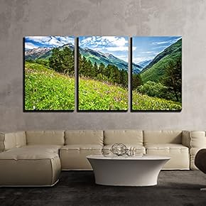 3 Piece Canvas Wall Art - Beautiful Meadow on Cheget Mount. Bright Pink Flowers on a Mountains Field - Modern Home Art Stretched and Framed Ready to Hang - 16"x24"x3 Panels