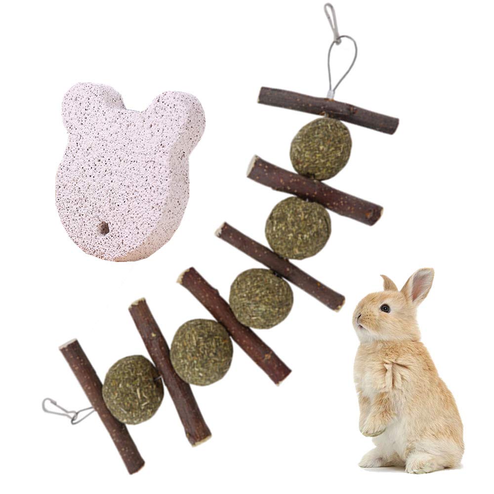 JanYoo Guinea Pig Toys Chinchilla Hamster Roller Rat Chews Toys Bunny