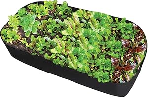 FEITORE Fabric Raised Garden Bed, 2ft x 4ft Garden Grow Bags Planting Bed Rectangle Garden Containers for Vegetables Plants Flowers Outdoor