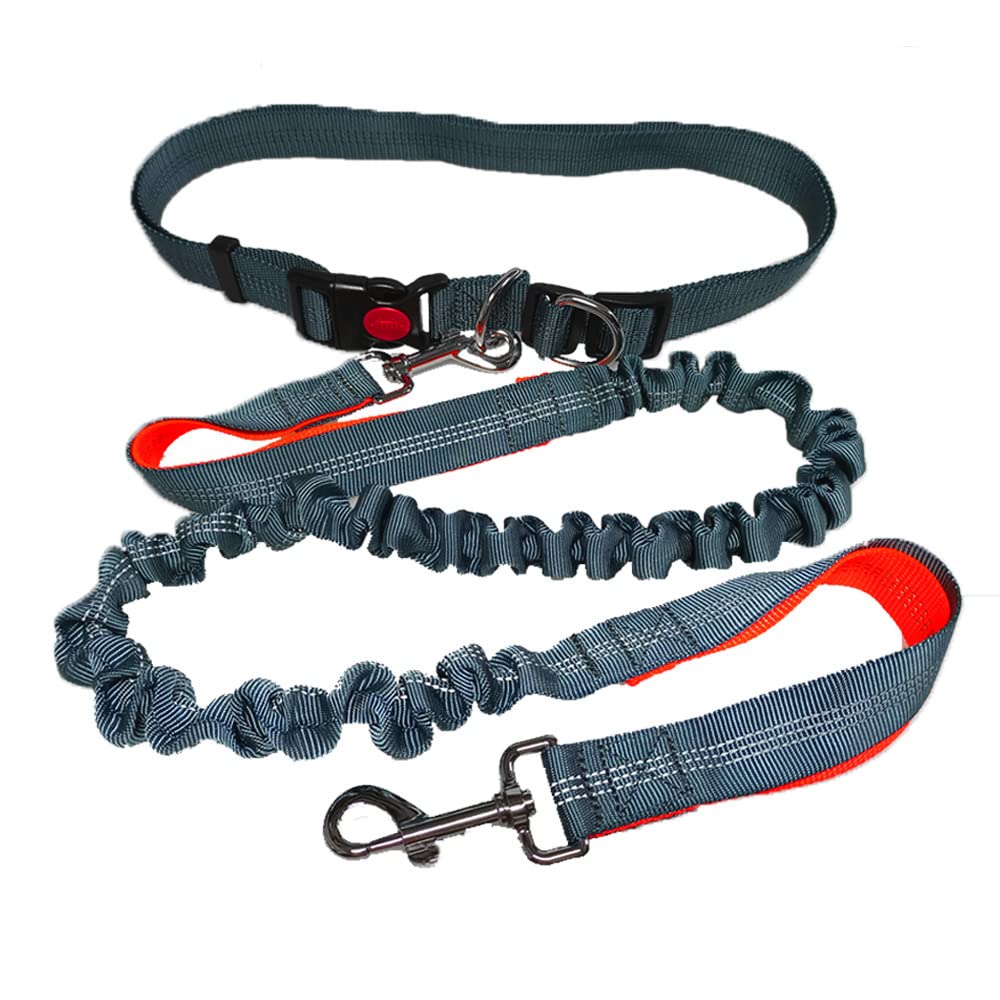 QitinDasen Grey Hands Free Dog Leash - Adjustable Waist Belt and Dual-Handle Retractable Bungee Leash with Reflective Stitching (Orange Handle)