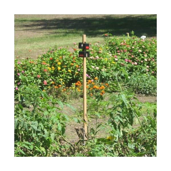 Nite Guard Solar Predator Control Light, (Pack of 4) Ponds Fountains