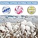 TOYSBOOM Squeaky Dog Toys 5 Piece Dog Rope Toys Puppy Flossy Chew Rope Tug Toy for Small, Medium Dogs, Value Pack Dog Toy
