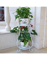 Soportes para plantas | Amazon.es | 2018