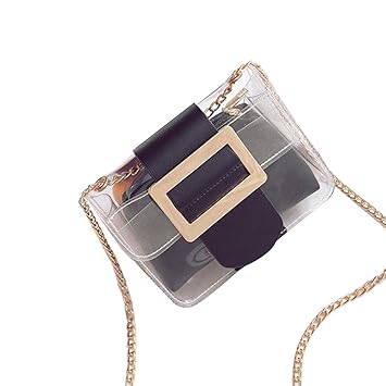 Womens Transparent Candy Color Clear Handbags Solid Crossbody Messenger Shoulder Bag (Black)
