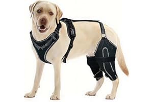 Dog Knee Brace for Torn ACL/CCL & Luxating Patella – Adjustable Hind Leg Support Brace, Hinged Anti-Slip Joint Brace for Pain