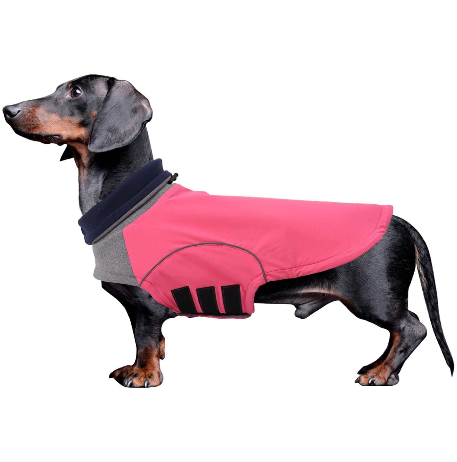 babepet Dachshund Winter Coat, Waterproof Miniature Dachshund Clothes, Small Dog Coat Jacket,Dachshund Jumper with Turtle Neck,Pet Garment Ideal for Walking,Hiking,Camping-Pink-L
