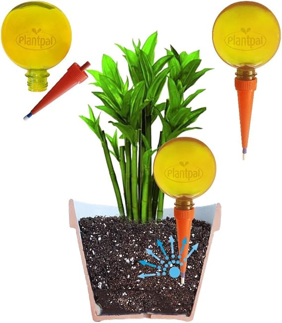 Plantpal Large Watering Globes. New Clear Colours ORANGE clear view of