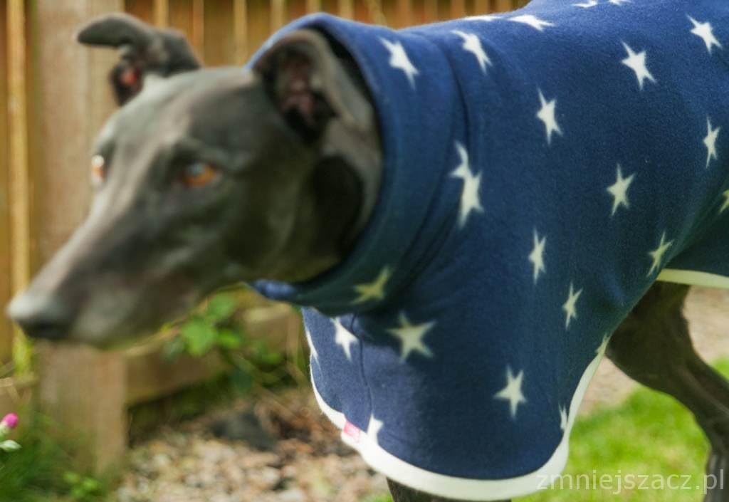 DOG AND HOME Beautiful LIMITED EDITION Whippet Greyhound coat in many sizes (M)