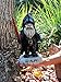 GlitZGlam Warrior Gnome - Protector of The Garden Gnomes and Guardian of The Enchanted Fairies in Gnome Land