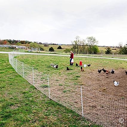 Premier PoultryNet Electric Fence, 48"H x 164L, Double Spiked, WhitePremier Top Seller