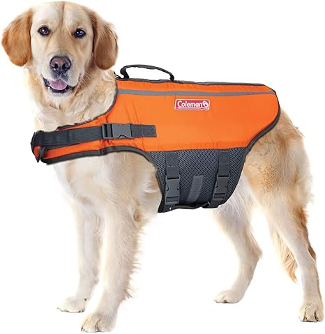 dog swim vest amazon