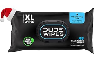 DUDE Wipes Flushable Wipes Dispenser, Pack of 1