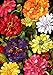 Toland Home Garden 112064 Zippy Zinnias Spring Flag 12x18 Inch Double Sided Spring Garden Flag for Outdoor House summer Flag Yard Decoration
