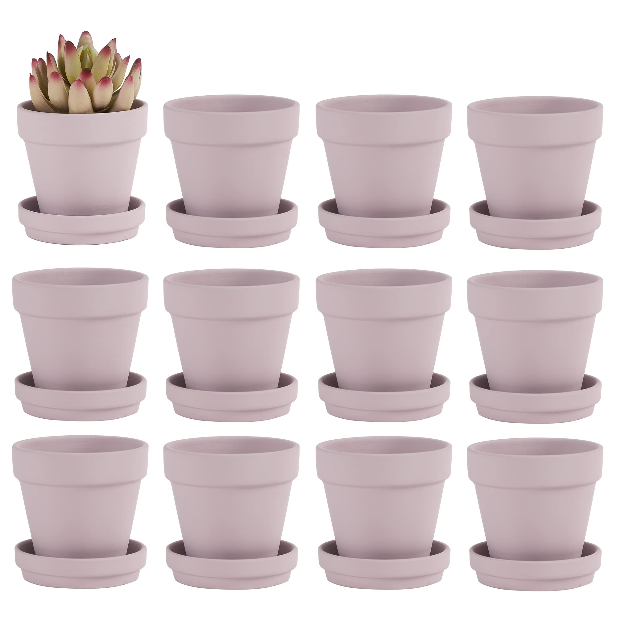 Photo 1 of Fcacti 3 Inches Small Pink Terracotta Pots with Saucer, 12 Pack 3" Terra Cotta Planter with Drainage Holes, Small Clay Flower Pots for Plants, Succulents, Crafts, Wedding Favor