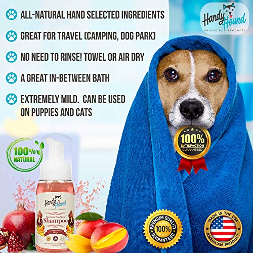 Handy Hound Coconut Ginger Almond Foaming No Rinse Shampoo for Dogs or