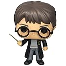 Funko POP Movies: Harry Potter Action Figure
