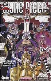 Gel nuageux avec risques de chutes d'os