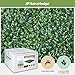 NatraHedge Artificial Boxwood Hedge Mat 20