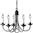 Progress Lighting P4008-31 Five Light Chandeliers, 21-Inch Diameter x 16-Inch Height, Black