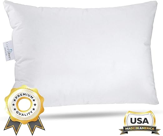 Amazon Com Comfydown Travel Pillow 800 Fill Power European
