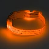 YFbrite LED Cat Collar Small Dog Collar USB Rechargeable Orange XS view 8