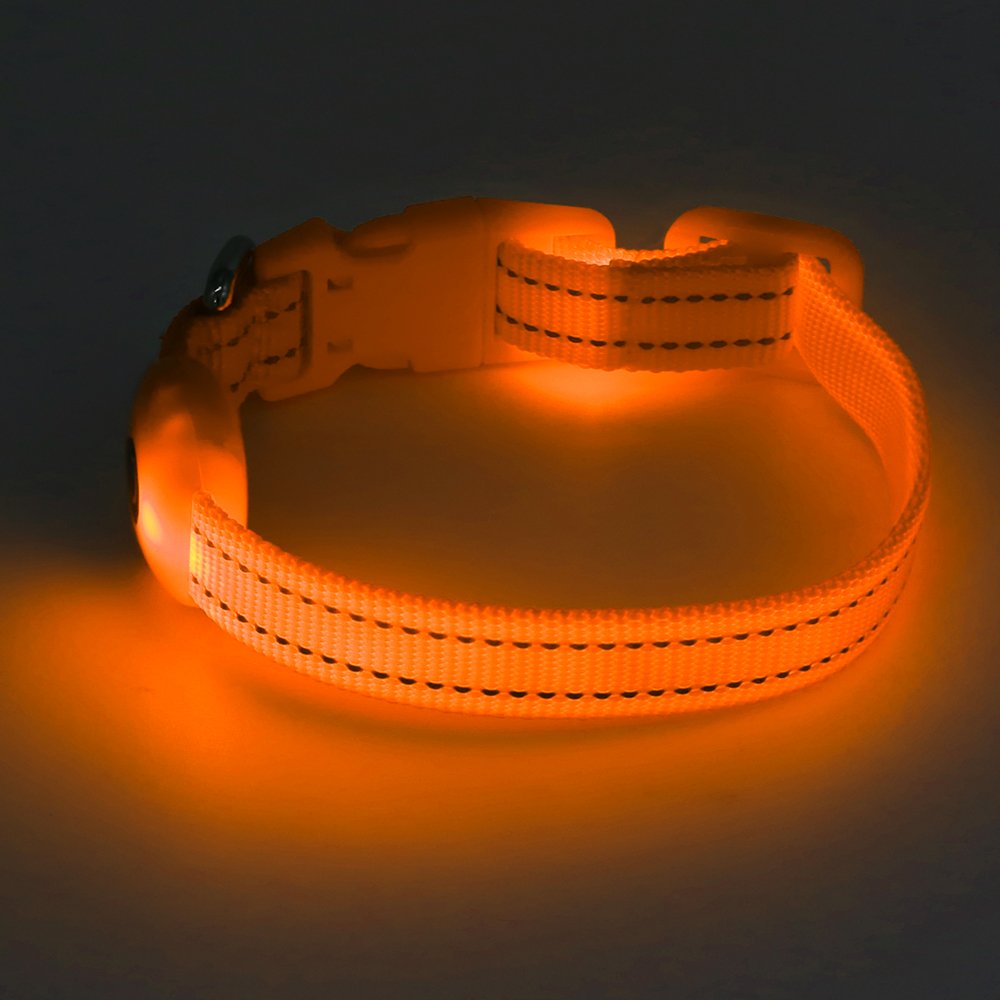 Clan_X Led Dog Collar, USB Rechargeable light up Pet Collar for small dogs, Glowing in the Dark Nylon Webbing Flashing Collar with Reflective Stitches Make Your Pets Visible & Safe (Orange)