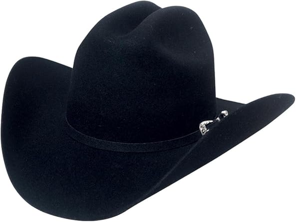 texanas stetson 100x precio