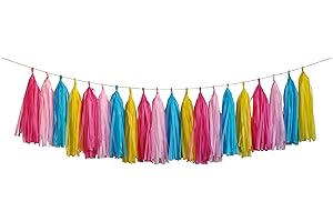 ZOOYOO Tassel Garland Tissue Paper Tassel Banner,Table Decor,DIY Kits for Various Party, Tassels Party Decoration,Pack of 20 - (Hot Pink/Pink/Blue/Yellow)
